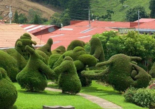 25個&ldquo;植物造型&rdquo;花園景觀設計,網友直呼:植物的藝術!