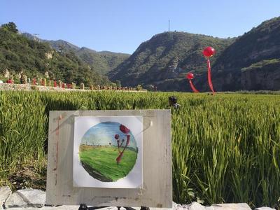 你可見過稻田里的藝術節(jié),就去紅旗渠敲鑼打鼓收稻子