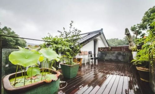 杭州西湖景區(qū)一家藝術氣息日式精品民宿,偷得浮生半日閑