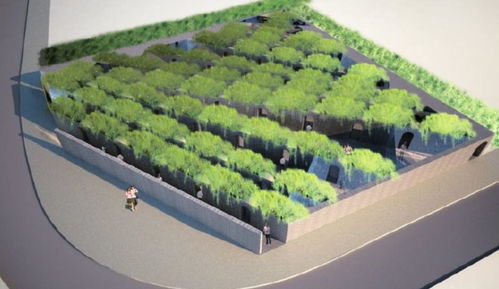 景觀魔法師瑪莎·施瓦茨 打破邊界的造景藝術