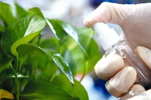 紅外光控釋農藥研發取得重要進展，生物農藥技術迎來新突破