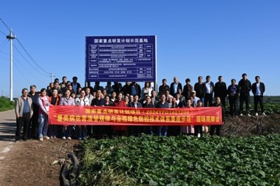 綠色防控，“薯”來(lái)運(yùn)轉(zhuǎn)——河南省農(nóng)科院植保所召開(kāi)甘薯病蟲害綠色防控培訓(xùn)觀摩會(huì)