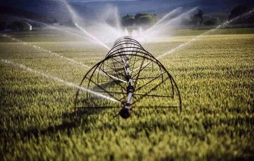 生物育種與數字農業雙翼齊飛 引領現代農業科技新革命